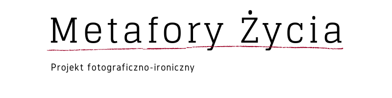 Metafory Życia logo strony